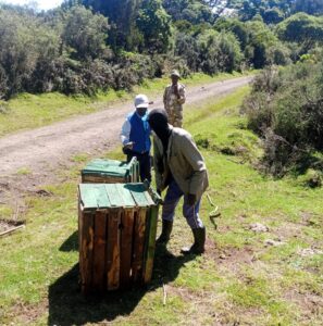 pilot project 2 males taken to aberdares